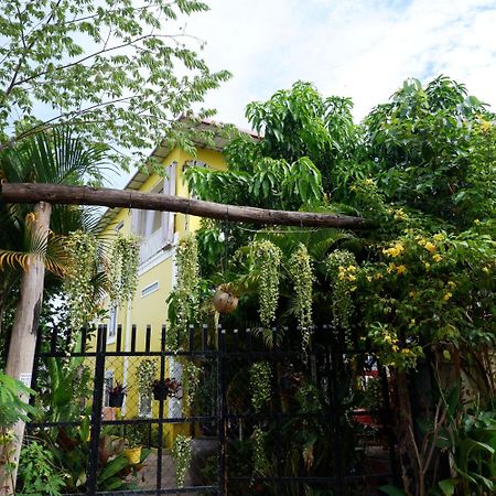 Homestay Yellow Natural House シェムリアップ エクステリア 写真