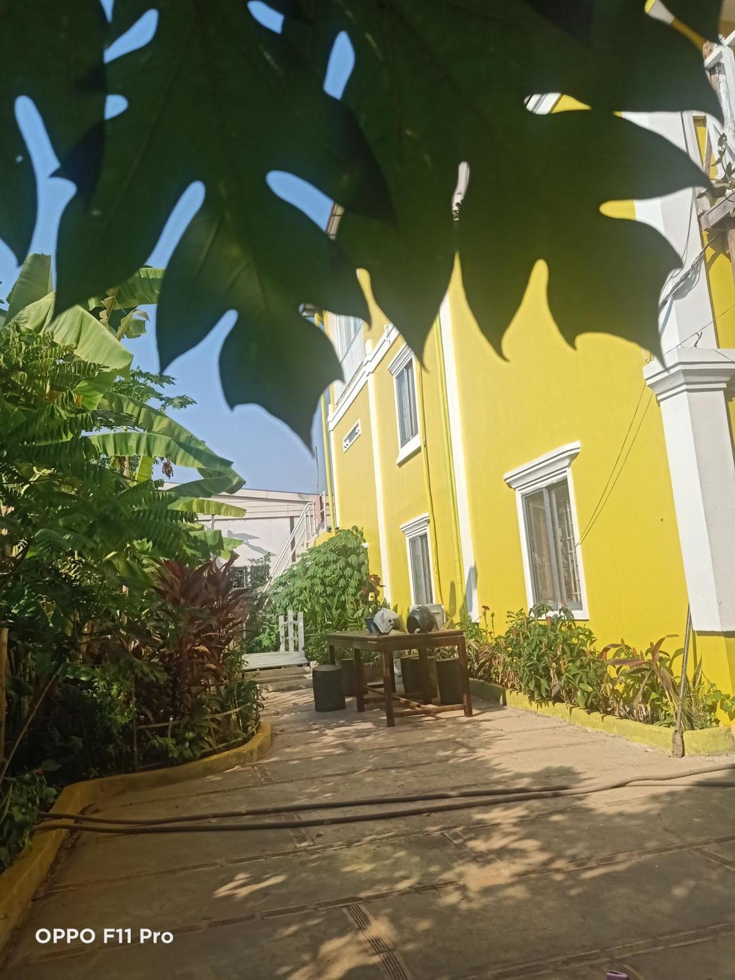 Homestay Yellow Natural House シェムリアップ エクステリア 写真