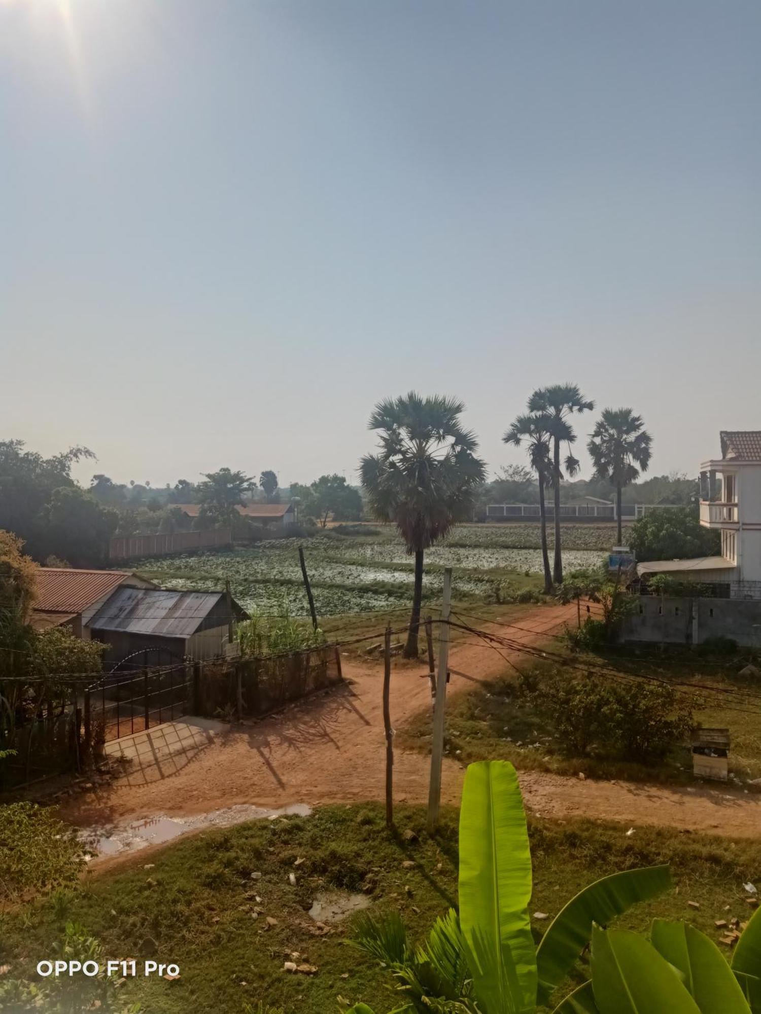 Homestay Yellow Natural House シェムリアップ エクステリア 写真